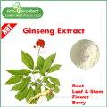 Panax Ginseng Berry Extract powder